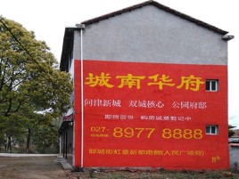 嘉禾百分之90的人都不了解的农村墙体广告