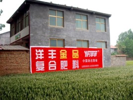 嘉禾如何让墙体广告展现最大化效果