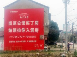 嘉禾墙体广告在乡镇、农村市场的媒体优势