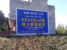 嘉禾品牌公司青睐的墙体广告