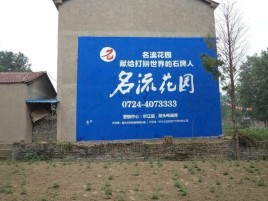 嘉禾农村墙体广告的长尾效应