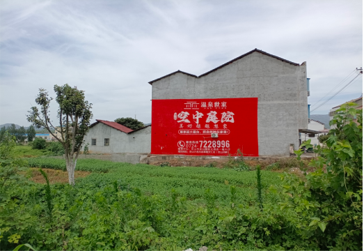 嘉禾做墙体广告的意义