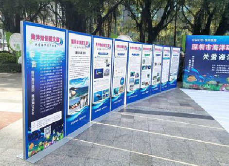 嘉禾KT板的种类和知识。